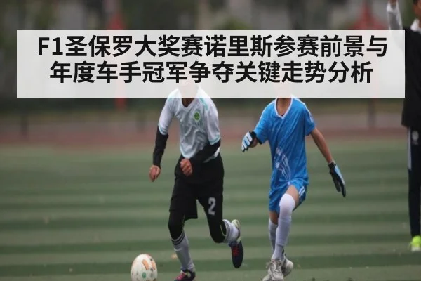 F1圣保罗大奖赛诺里斯参赛前景与年度车手冠军争夺关键走势分析 - kaiyun